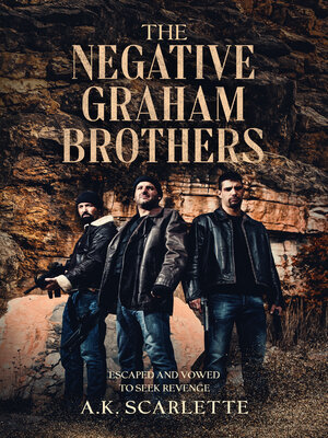 cover image of The Negative Graham Brothers